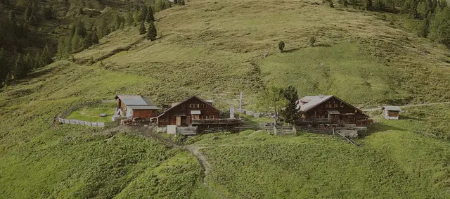 Foto: Nico Forchthammer