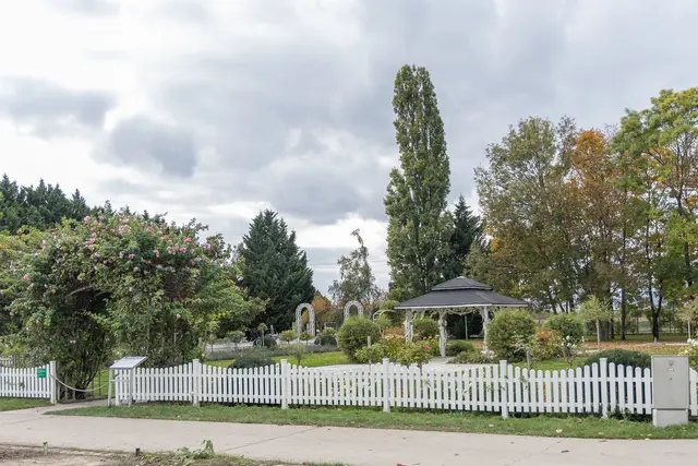 Foto: René Brunhölzl/MeinBezirk