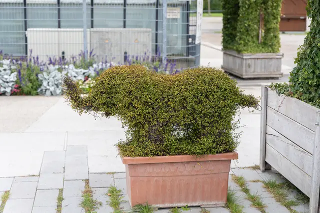 Foto: René Brunhölzl/MeinBezirk