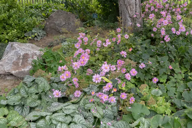 Foto: René Brunhölzl/MeinBezirk