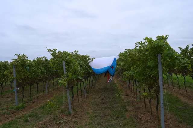 Foto: Stadtgemeinde Hollabrunn