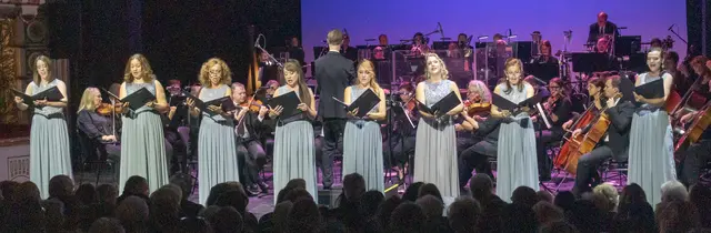 Chor der Bühne Baden | Foto: Gerhard Maly