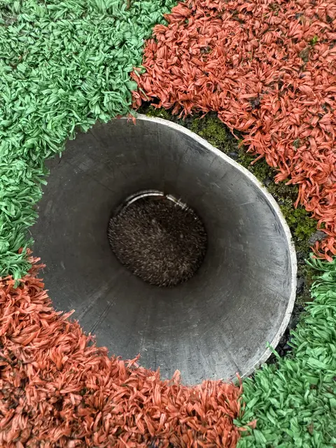 Mitten am Fußballfeld auf einem Welser Sportplatz wurde ein Torstangenrohr einem kleinen Igel zum Verhängnis. | Foto: THG