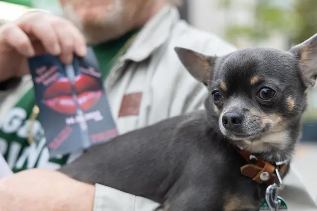 Foto: René Brunhölzl/MeinBezirk