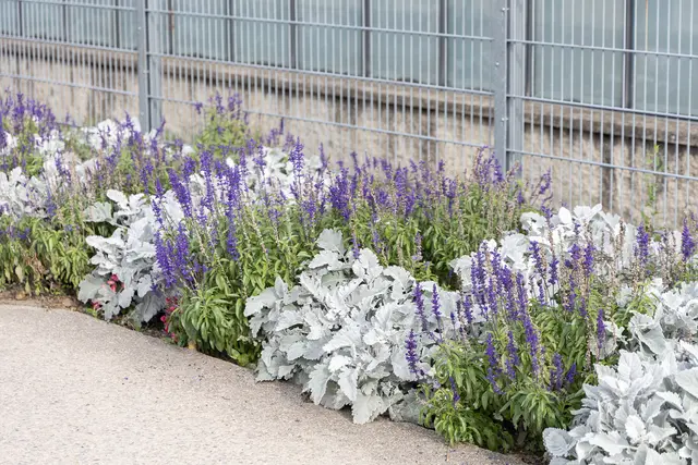 Foto: René Brunhölzl/MeinBezirk