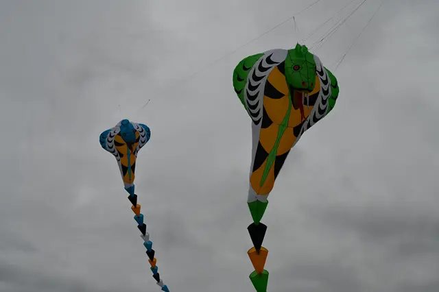 Foto: Stadtgemeinde Hollabrunn