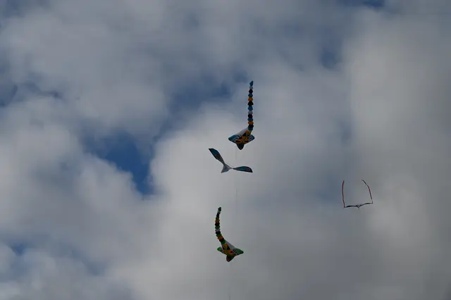 Foto: Stadtgemeinde Hollabrunn