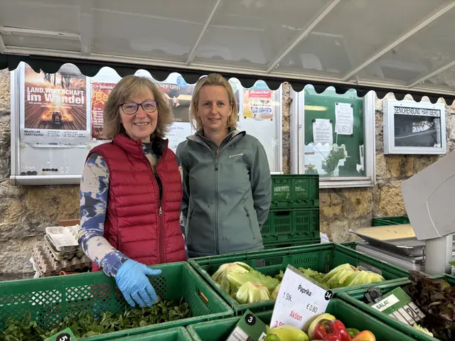 Kulinarik, Kultur, Sport und Infrastruktur: Hartberg hat als "Stadt der Sinne" viele Facetten zu bieten. | Foto: Margot Jeitler