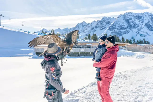 In Mountopolis, der Erlebniswelt der Mayrhofner Bergbahnen, ist man mit Greifvögeln per Du, wie hier beim „Meet &amp; Greet“ in der AdlerBühne Ahorn.
 | Foto: Mayrhofner Bergbahnen