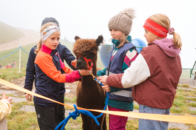 Die Alpaka‑Wanderungen rund um den Alpengasthof Rigi zählten zu den Highlights des Tages. | Foto: Region Hohe Salve/moosbeermedia