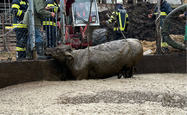Rettungsaktion in St. Peter (Gemeinde Waldburg) | Foto: zVg