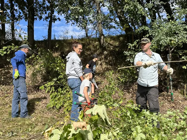 Pflegearbeiten der önj Haslach, der önj Unterkagerer und der önj Pöstlingberg, Bezirk Urfahr auf der Schmetterlingswiese in Schindlau, in der Gemeinde Ulrichsberg.  | Foto: Helmut Eder
