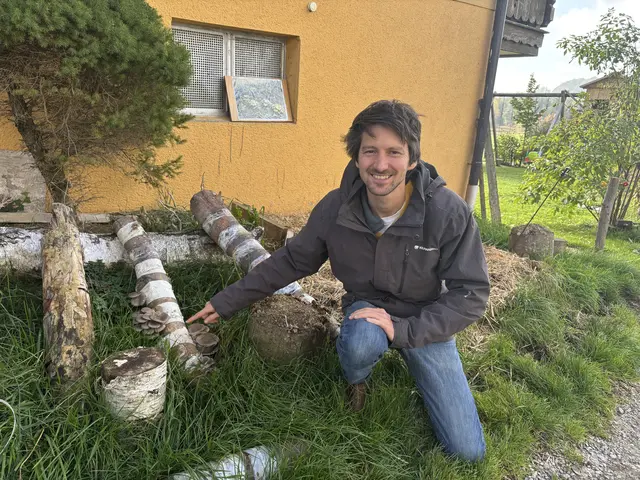 Sebastian Reindl züchtet seine Bio-Pilze auch im eigenen Garten in Schleedorf. | Foto: Emanuel Hasenauer