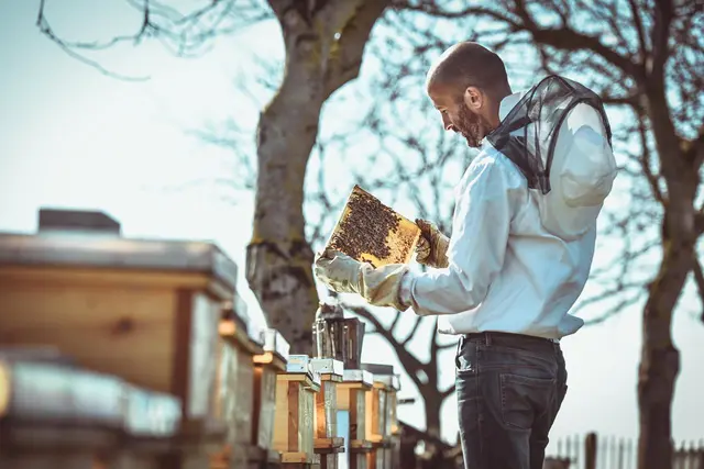 Das unbeständige Wetter mit Kälte, Regen und kurzen Hitzekapriolen machte es den Bienen von Florian Peterstorfer nicht leicht. | Foto: Peterstorfer
