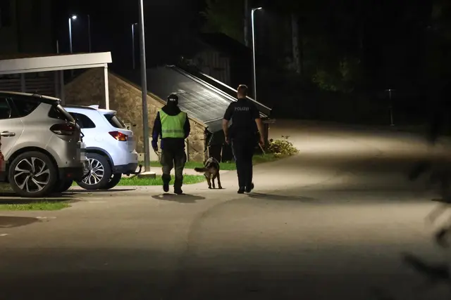 Nächtliche Suche nach einer vermissten Frau im Bereich Altmünster und Traunkirchen. | Foto: laumat/Matthias Lauber