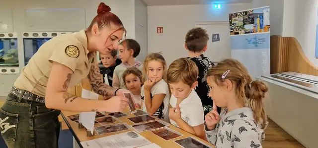 Spannende Einblicke in die Welt der Naturforschung | Foto: Christian Scheucher/Wildnisgebiet Dürrenstein-Lassingtal
