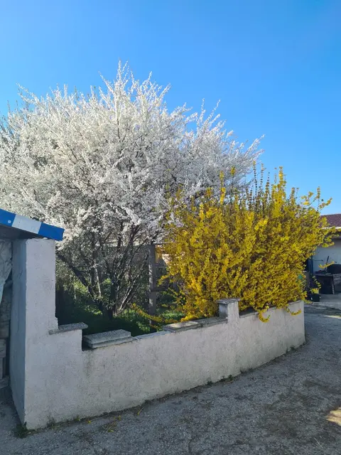 Foto: Pferdehof Stadlau