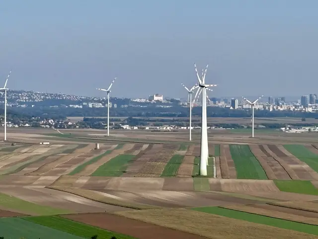 Über das flache Gelände geht der Blick ungehindert bis zur Bratislaver Burg. | Foto: MeinBezirk/Birgit Bachhofner