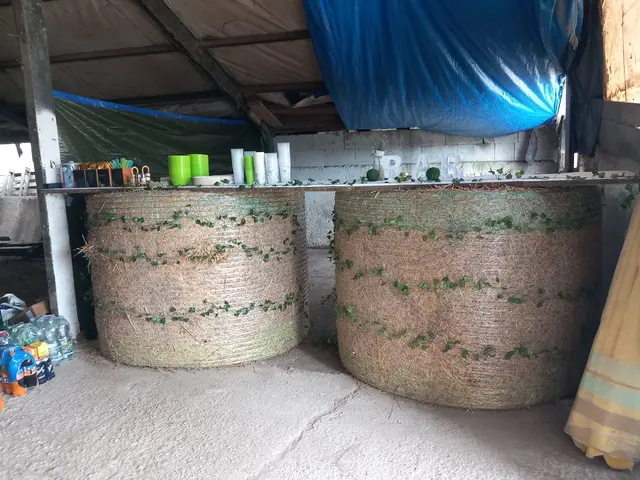 Foto: Pferdehof Stadlau