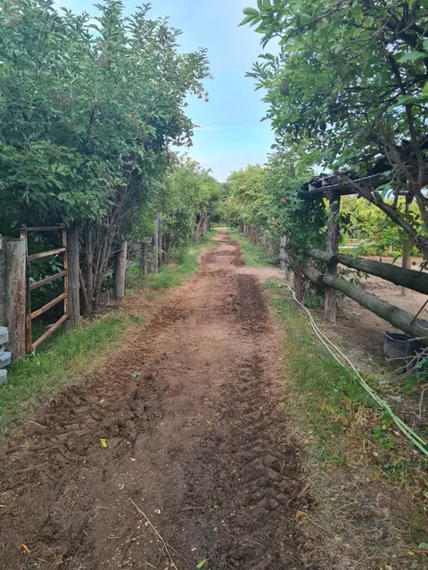 Foto: Pferdehof Stadlau