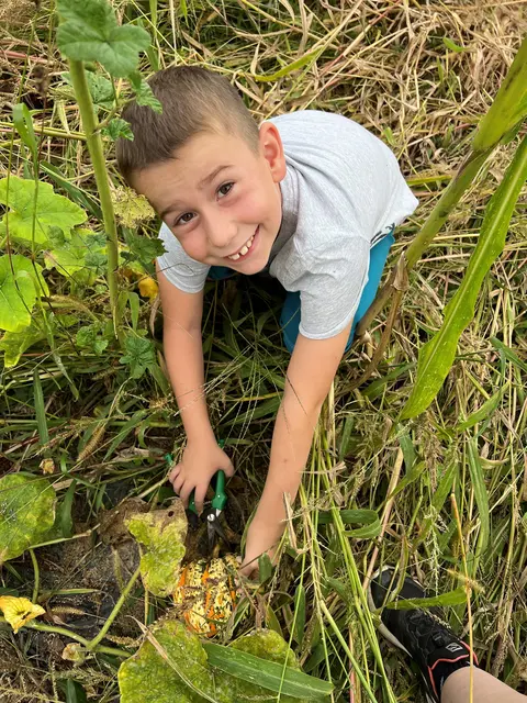 Foto: Marktgemeinde Wies