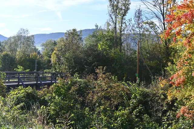 Hier verlasse ich den Wasserleitungsweg-geht auf der Straße weiter- und spaziere noch entlang der Schwarza bis Schlöglmühl
