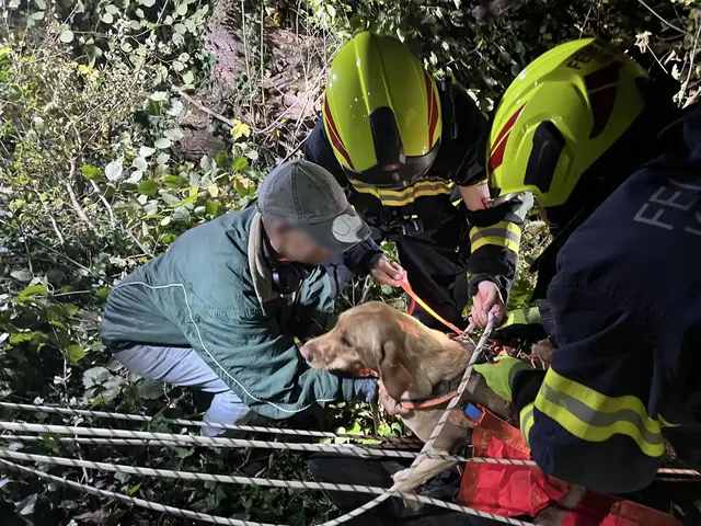 Foto: Feuerwehr Kronstorf