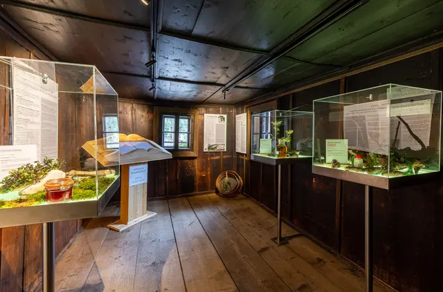 Die Ausstellung ist ab sofort zu sehen. | Foto: Harald Steiner