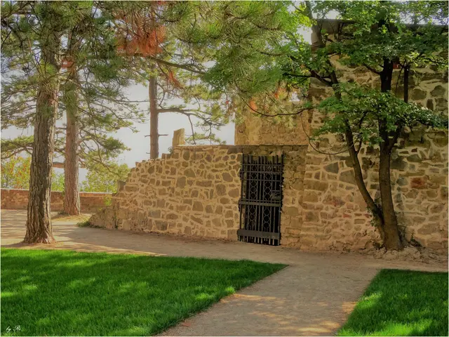 Archiv | Foto: Uschi Rischanek