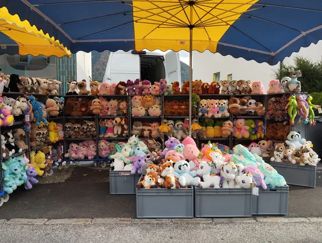 Foto: Veronika Frank