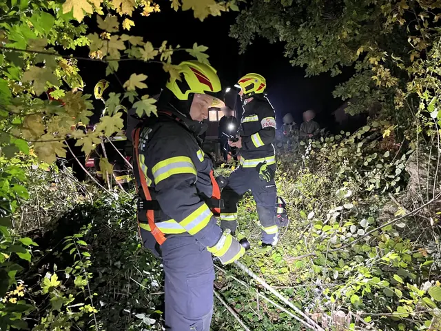 Foto: Feuerwehr Kronstorf