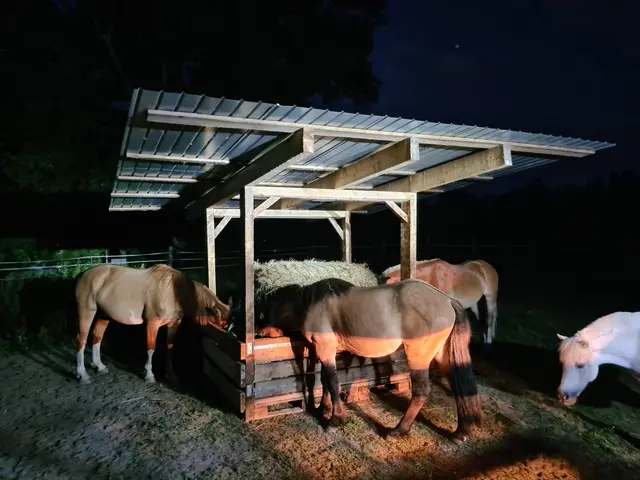 Foto: Pferdehof Stadlau