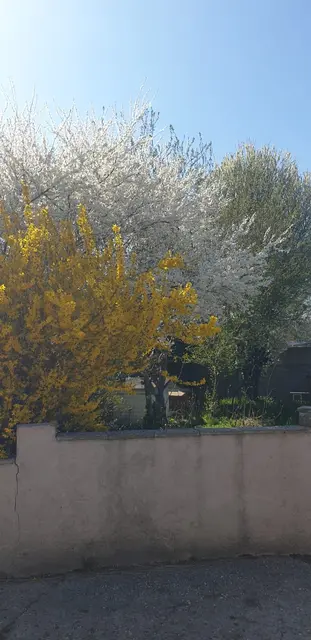 Foto: Pferdehof Stadlau