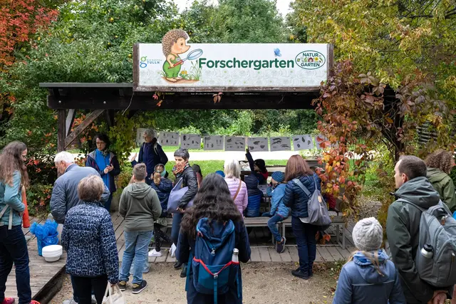 Programm für die Gewinner | Foto: VOGUS