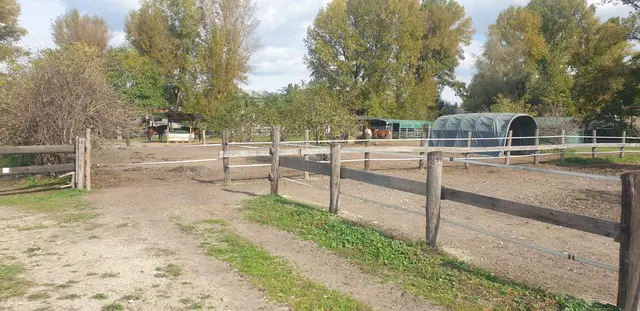 Foto: Pferdehof Stadlau