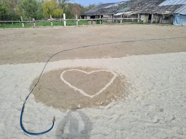 Foto: Pferdehof Stadlau