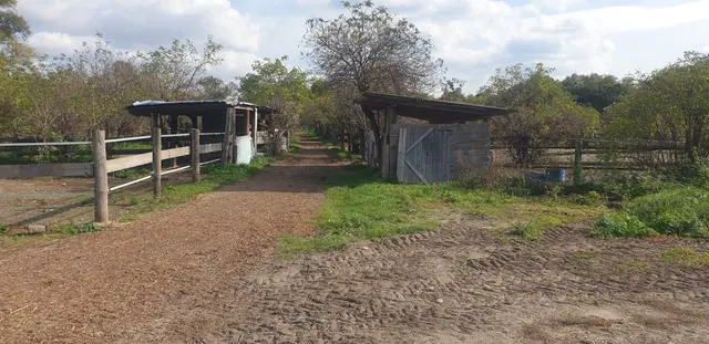 Foto: Pferdehof Stadlau