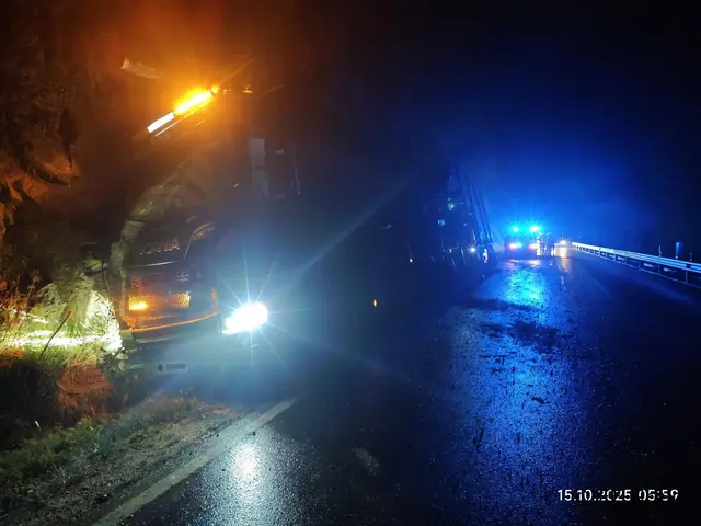 Am Mittwoch-Früh kam es im Bereich Dornach zu dem Unfall. | Foto: FF Grein