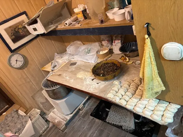 Lange wurde nichts mehr von illegalen Teigtascherlmanufakturen gehört – jetzt hat man doch noch einmal eine in Döbling ausgehoben. | Foto: Gruppe Sofortmaßnahmen