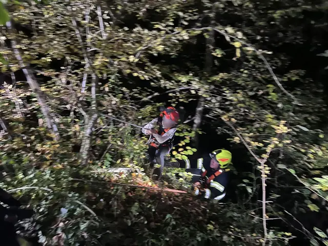 Foto: Feuerwehr Kronstorf