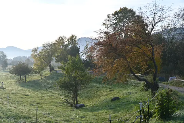 Da mache ich einen Abstecher zur Schwarza
