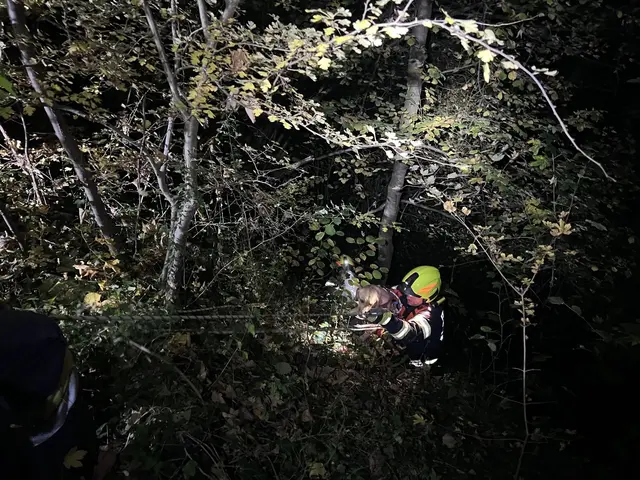 Foto: Feuerwehr Kronstorf