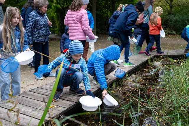 Programm für die Gewinner | Foto: VOGUS