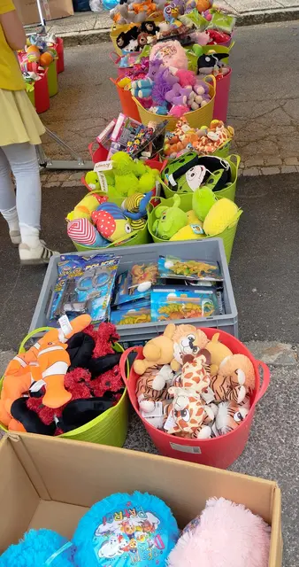 Foto: Veronika Frank