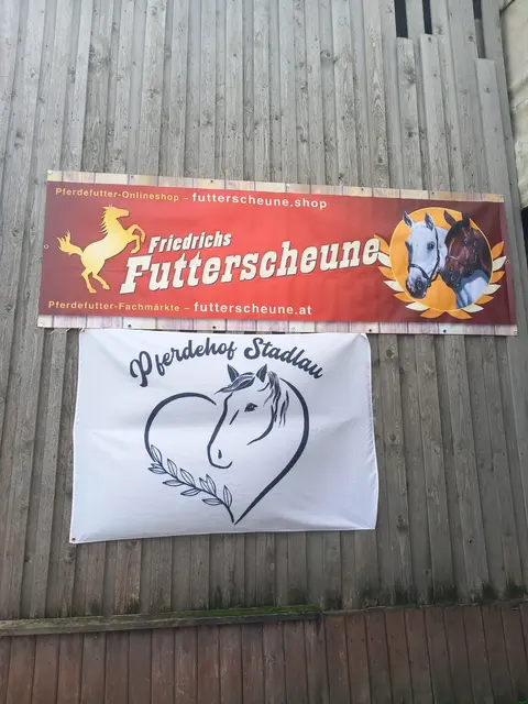 Foto: Pferdehof Stadlau