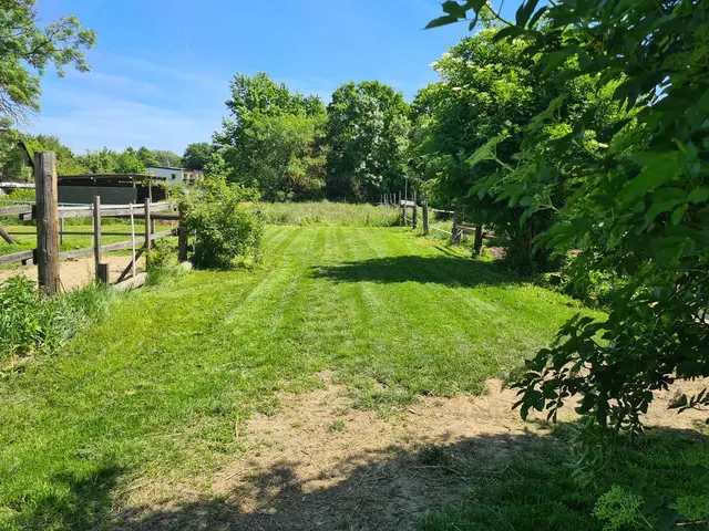 Foto: Pferdehof Stadlau