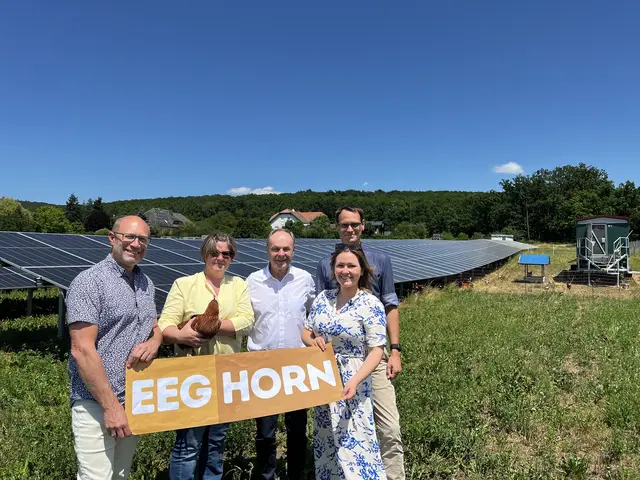 Energiegemeinschaften bieten im Bezirk Horn eine völlig neue Möglichkeit, erneuerbaren Strom effizient zu nutzen. | Foto: EEG Horn