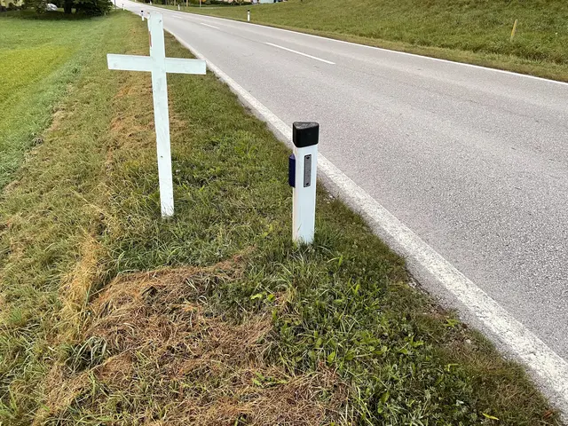 Weiße Kreuze für mehr Bewusstsein: In der Steiermark sind in den vergangenen 20 Jahren 1.623 Personen bei 1.517 Verkehrsunfällen tödlich verunglückt.  | Foto: MeinBezirk/Christoph Schneeberger