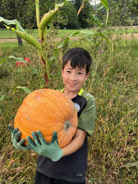 Foto: Marktgemeinde Wies