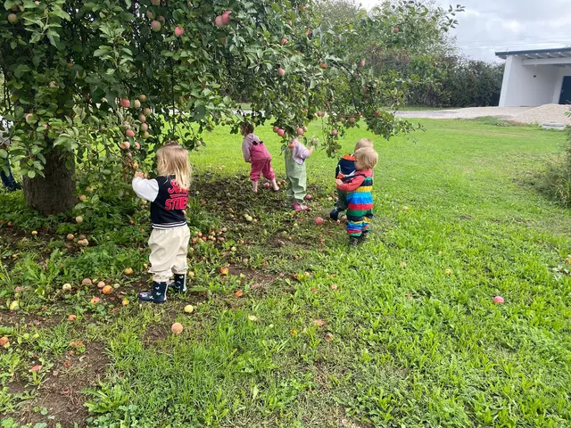 Aus den gesammelten Äpfeln wurde Apfelkuchen gebacken.  | Foto: Kita Sternenglück